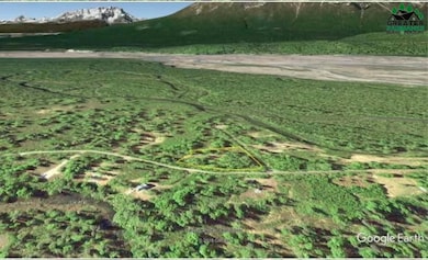 nhn Chulitna Ln, Denial Park, AK 99755 - photo 3