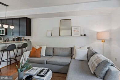 3219 12th St NE unit 101, Washington, DC 20017 - photo 4