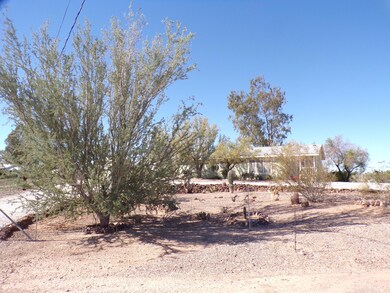 Mature Desert Landscaping