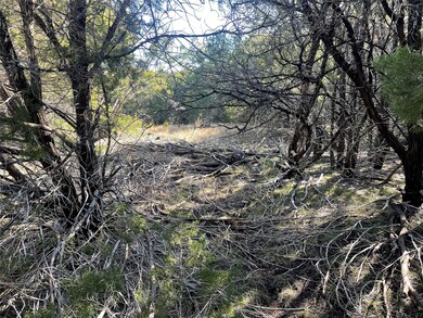 1042 White Bluff Dr, Whitney, TX 76692 - photo 6