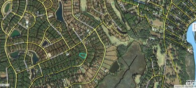 Lot 549