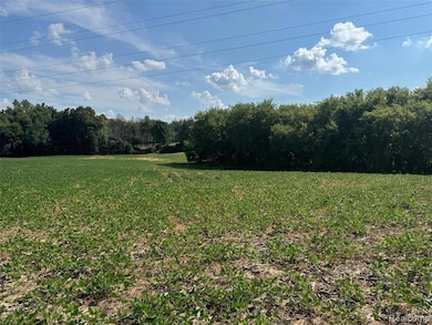 VL S Mill Rd, Dryden Township, MI 48428 - photo 4