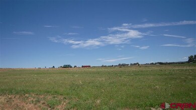 0 Road S unit 656158, Cortez, CO 81321 - photo 3