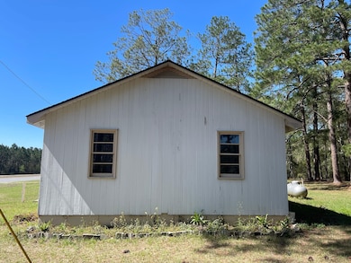 6689 Mcrae Hwy, Helena, GA 31037 - photo 3