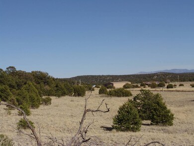172 Windmill Cir, Datil, NM 87821 - photo 4