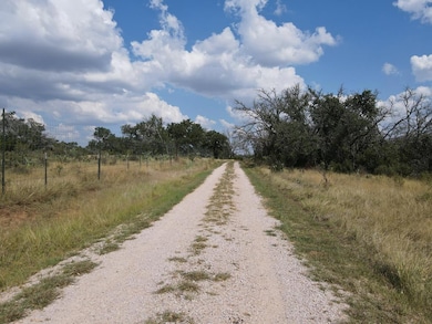 7994 W Us Hwy 290 unit 2, Johnson City, TX 78636 - photo 6