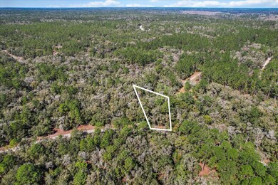 987 E Odin Dr, Citrus Springs, FL 34434 - photo 5