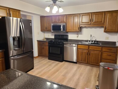 745 206th St, Dyer, IN 46311 - photo 5