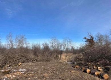 000 Grapevine Ave, Tomah, WI 54660 - photo 3