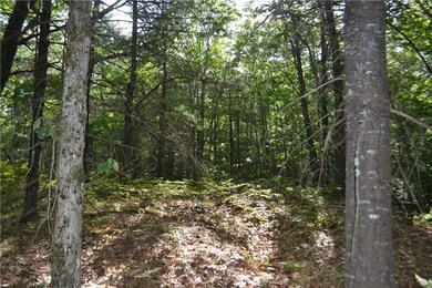 319 George Wright Rd, Woolwich, ME 04579 - photo 2