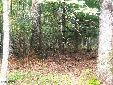 9 Briarcrest Dr, Lackawaxen Township, PA 18428 - photo 3