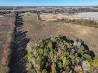 00 County Road 628, Fisk, MO 63940 - photo 3