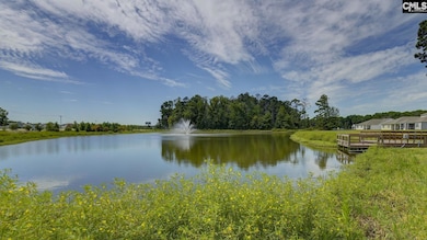 345 Ruby Prince Rd, Gilbert, SC 29054 - photo 3