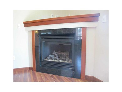 Fireplace. living room