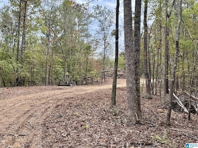 0 Dancing Waters Way, Wedowee, AL 36278 - photo 7