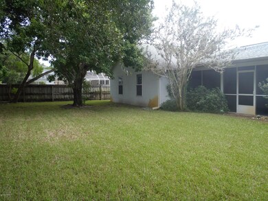 Back Yard Tree