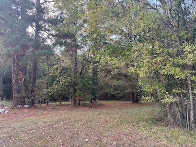 0 Silver Hickory Dr unit 50047653, Coldspring, TX 77331 - photo 4