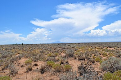 Lot 18 Rio Del Oro Loop unit 12, Los Lunas, NM 87031 - photo 3