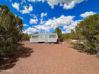 TBD County Rd, Concho, AZ 85924 - photo 3