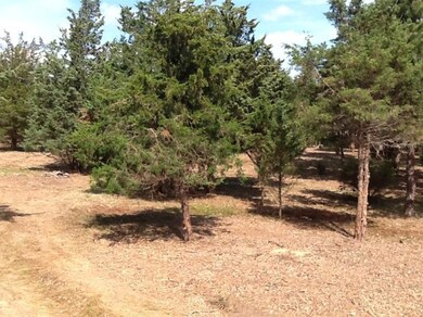 22 Scotchmans Ln, West Tisbury, MA 02568 - photo 5