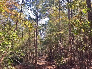 000 Candy Ln, McComb, MS 39648 - photo 7