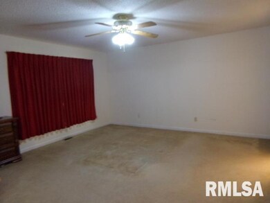 1409 Dorris Heights Rd, Harrisburg, IL 62946 - photo 7