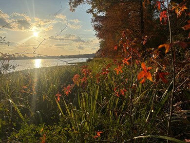 106a Calico Ct, Alberta, AL 36720 - photo 4