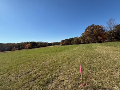 0 Irish Rd unit 75021, Chatham, VA 24531 - photo 5