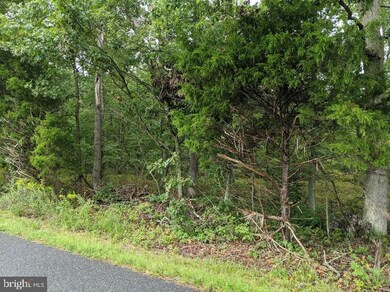 1751 Stanton Ave, Franklinville, NJ 08322 - photo 4