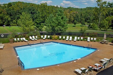 113 Black Forest Ln, Branson West, MO 65737 - photo 4