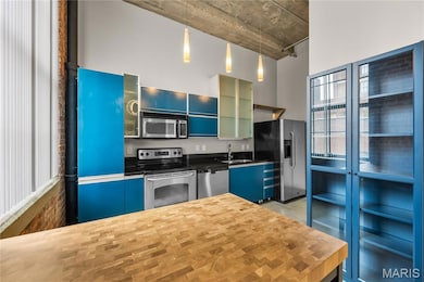 2201 Locust St unit 301, Saint Louis, MO 63103 - photo 6