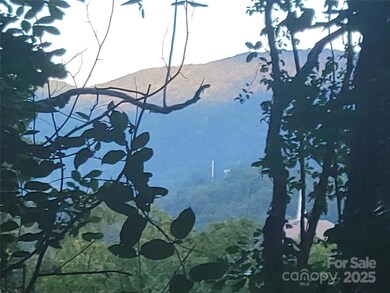 0 Blink Bonny Dr unit B9 & B11 CAR4292604, Waynesville, NC 28786 - photo 2