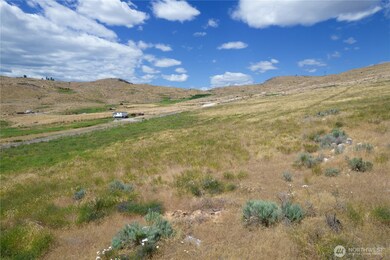 0 Nna Bill Shaw Rd unit NWM2458040, Pateros, WA 98846 - photo 6