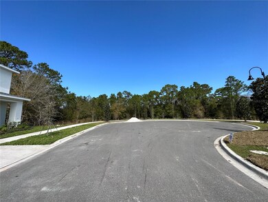 3100 Oxbow Ct, St. Cloud, FL 34773 - photo 3