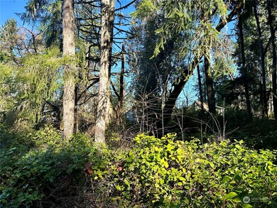 10113 Selma Cir, Anderson Island, WA 98303 - photo 4