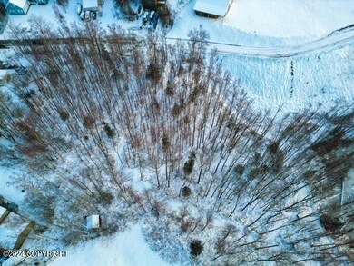 7041 W Leckwold Dr, Knik-Fairview, AK 99654 - photo 7