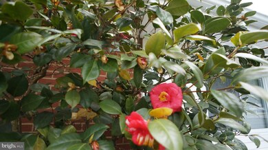 1405 Adams Dr, Fort Washington, MD 20744 - photo 4