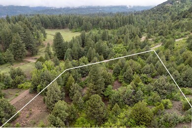 7-web-or-mls-Oak Tree Lot - www.aspencre