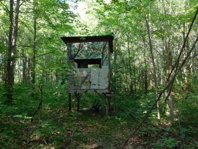 1 of 2 Ground Blinds