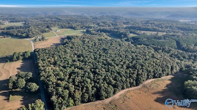 20 Acres Little Coffman Rd, Lester, AL 35647 - photo 6