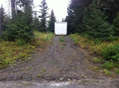 photo 1 (22)