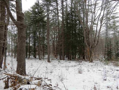 290 Bullocks Crossing Rd, Grafton, NH 03240 - photo 4