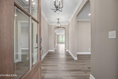 444 Sedge Ln, Loudon, TN 37774 - photo 3