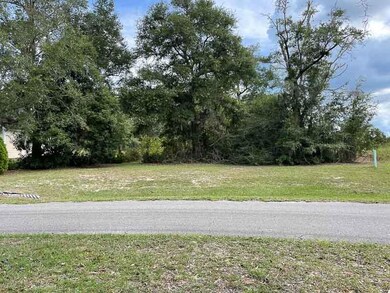 XX Fairway Dr, Crawfordville, FL 32327 - photo 5