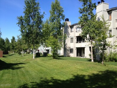 Gorgeous Mature Landscaping