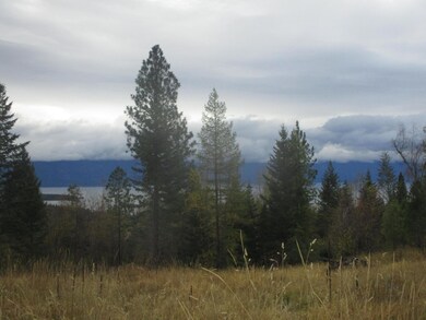 Nhn Damorecy Dr, Rollins, MT 59931 - photo 3