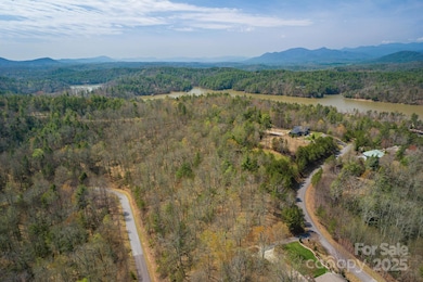 665 Harborside Dr unit 239, Nebo, NC 28761 - photo 3