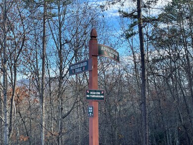 80-3 Hemlock Walk, Bryson City, NC 28713 - photo 3