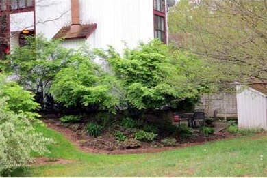 41 Pine Grove, Amherst, MA 01002 - photo 2