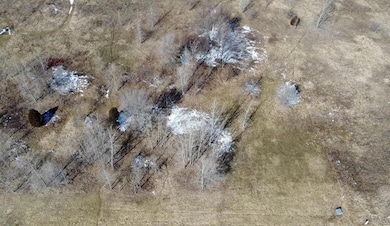 Overhead View